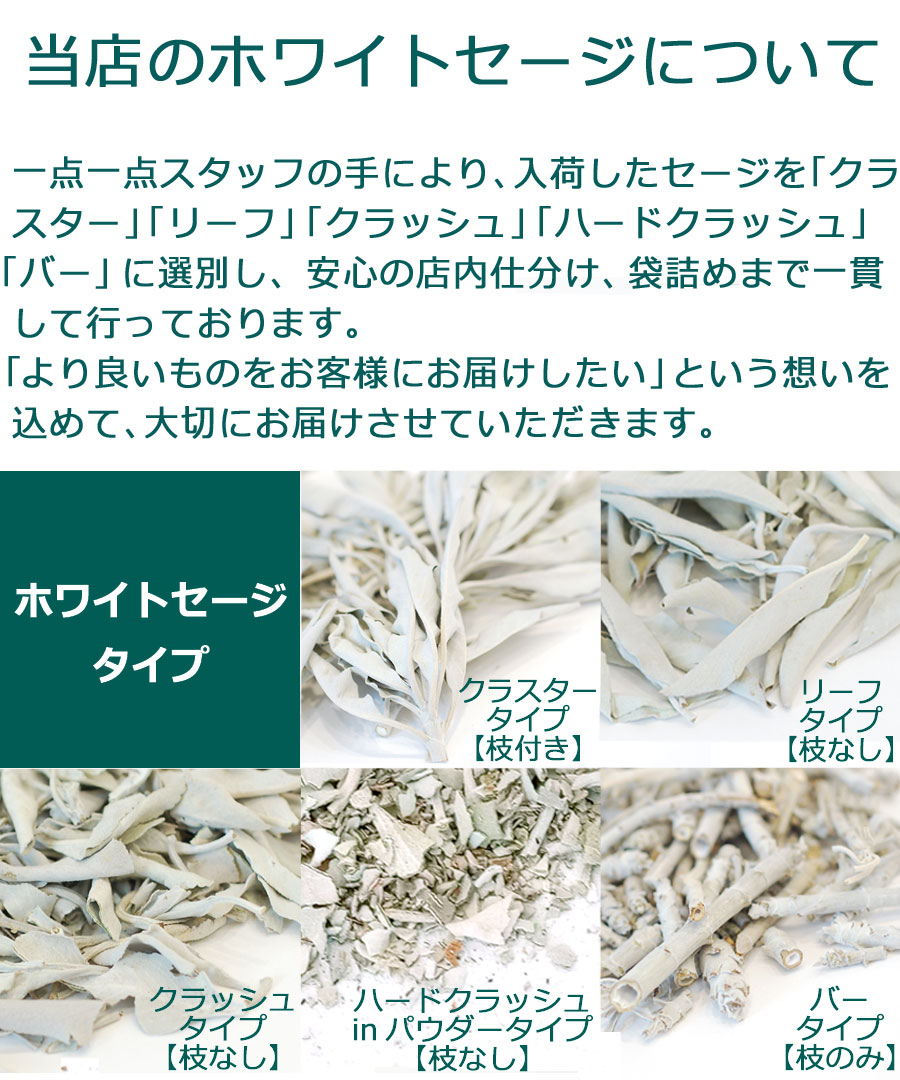 楽天市場】新鮮な香りのセージを輸入【期間限定10％増量中】＼完全無
