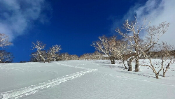楽天市場】スノーボード スキー ヒッププロテクター ヒップパッド