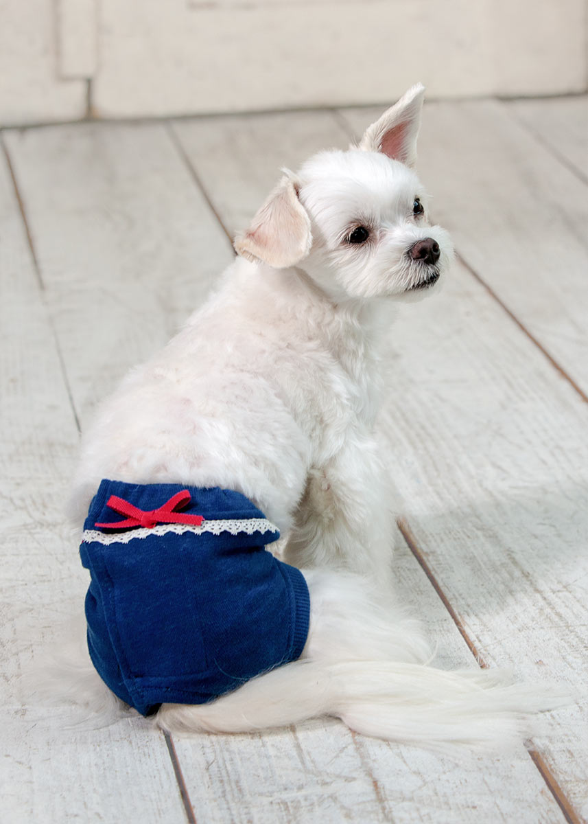 楽天市場】オムツカバーパンツ型1号～4号犬と生活 犬 服 犬服 パンツ