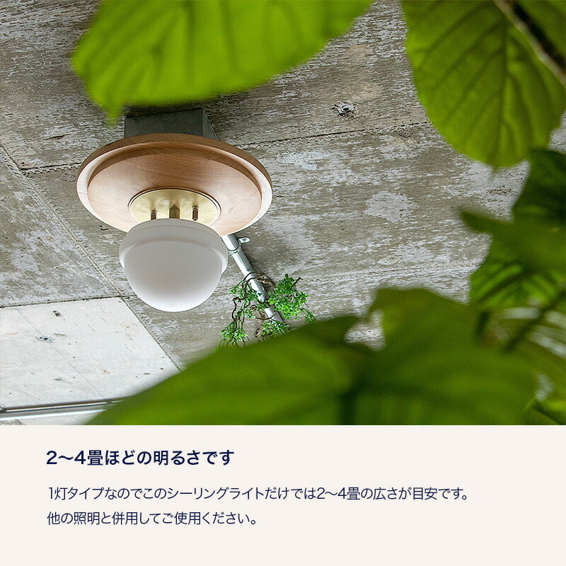 楽天市場】エントリーで+10倍 全商品対象 1灯 シーリングライト RAGDOL