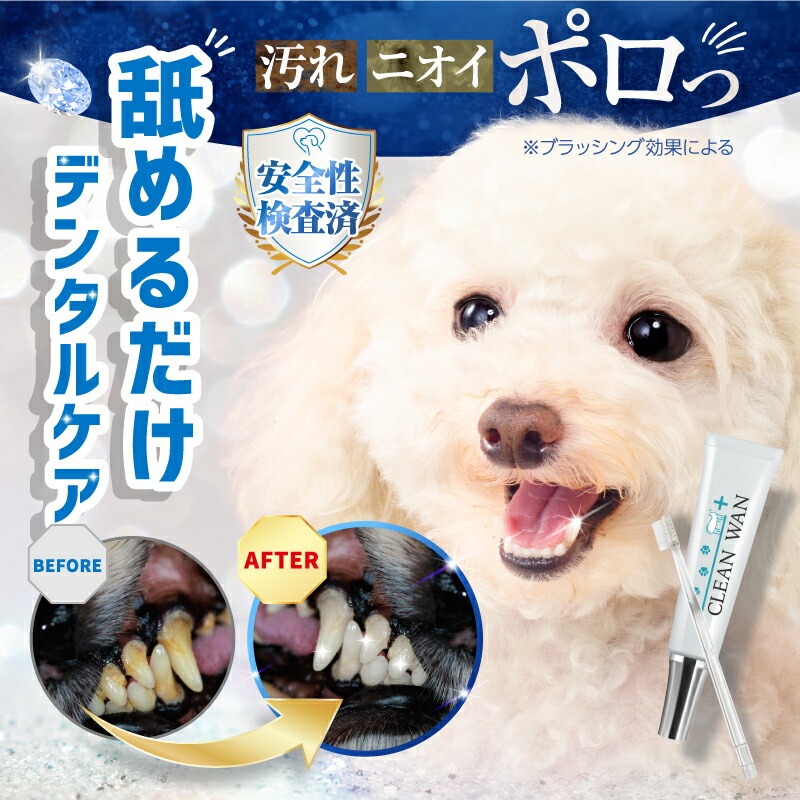 楽天市場】【15%OFF！3/8(日)】公式 CLEAN WAN クリーンワンジェル