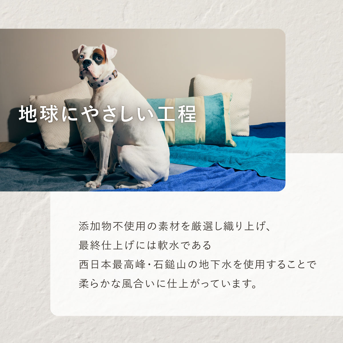 楽天市場】【公式】オーガニックコットン＆バンブー タオルケット｜140