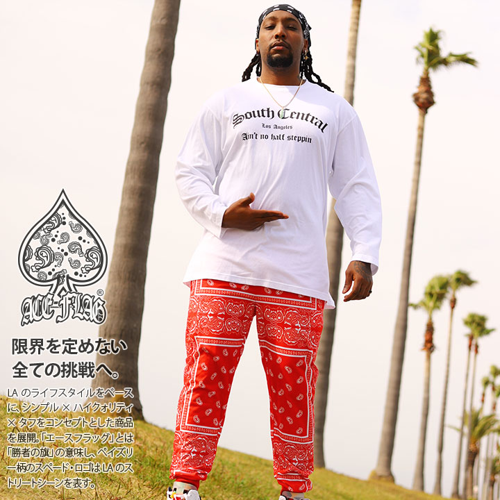 楽天市場】【48%OFF】ACE FLAG 上下セット 長袖 ブランド Tシャツ ロン