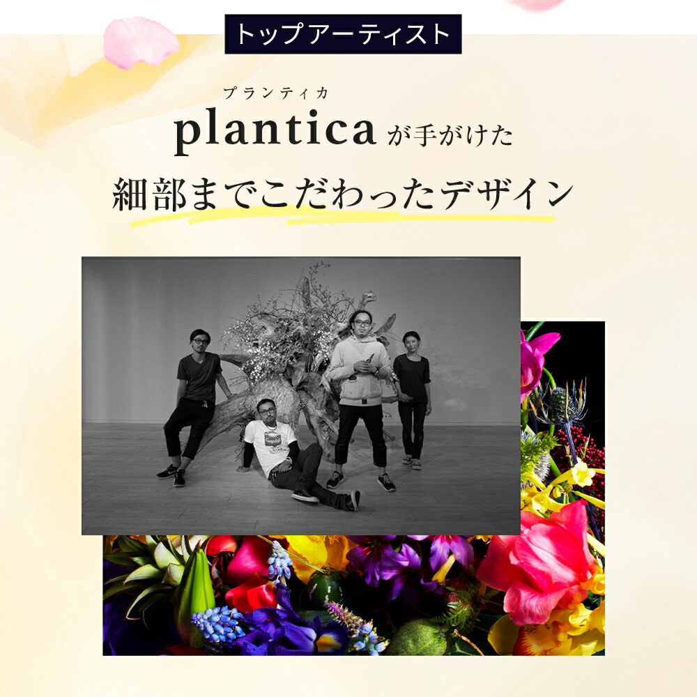 楽天市場】【スーパーSALE】＼シリーズ累計200万枚突破／「Slindy