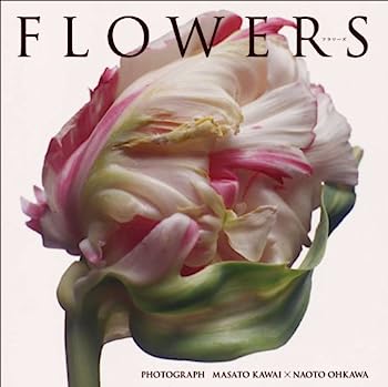 楽天市場】flowers ファンブックの通販