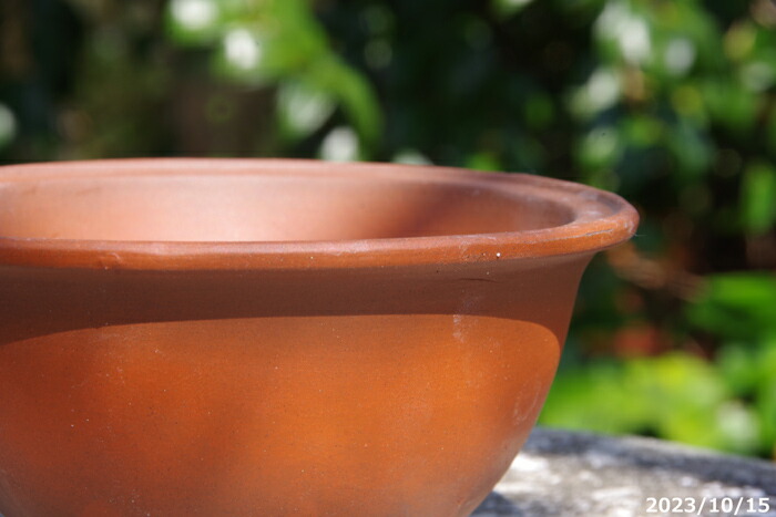 楽天市場】中国 朱泥 植木鉢 緑付丸鉢 足付 4.5号 【盆栽鉢 サボテン鉢