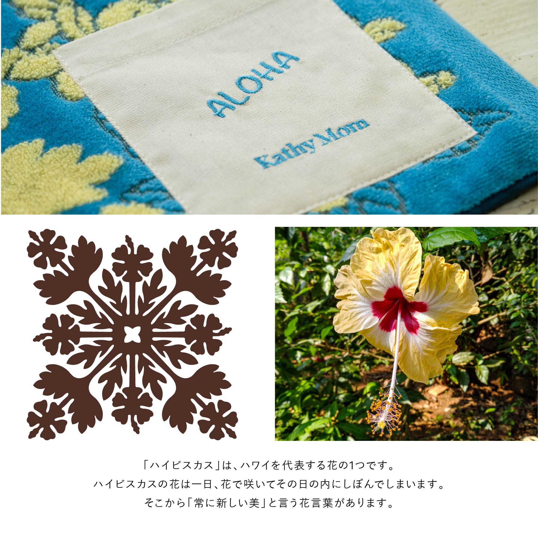 楽天市場】SS限定10％OFF11日1:59まで【 キャシーマム 】 タオル