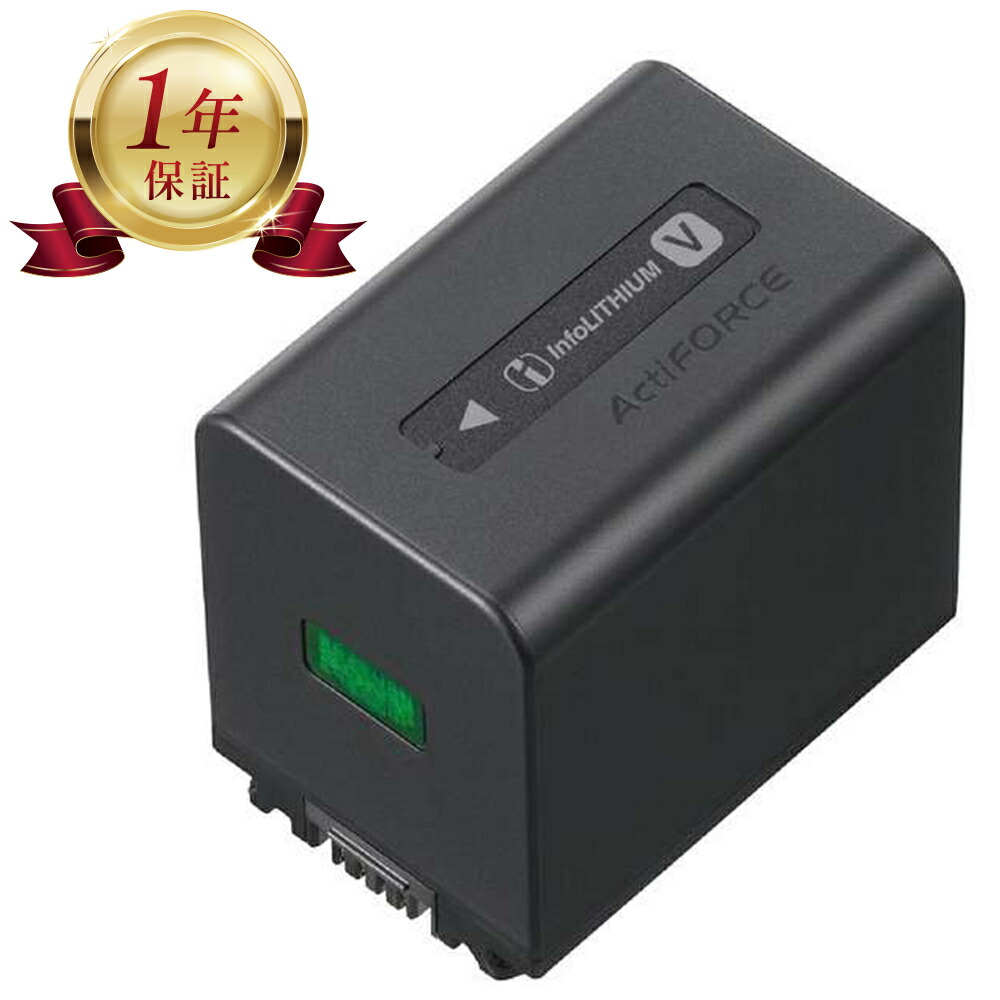 楽天市場】np-fv100aの通販