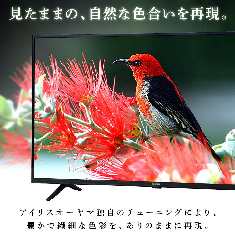 楽天市場】[最大500円OFF☆新生活フェア] テレビ 40インチ 40型