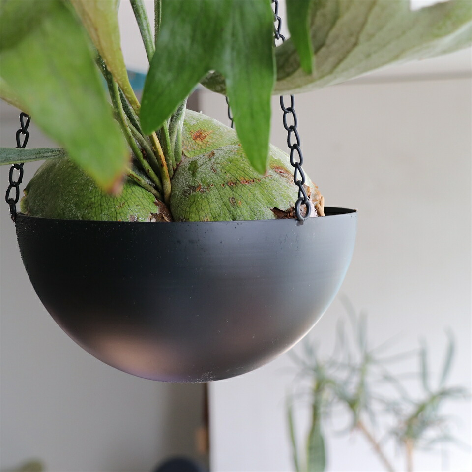 楽天市場】ドラム缶 プランターの通販