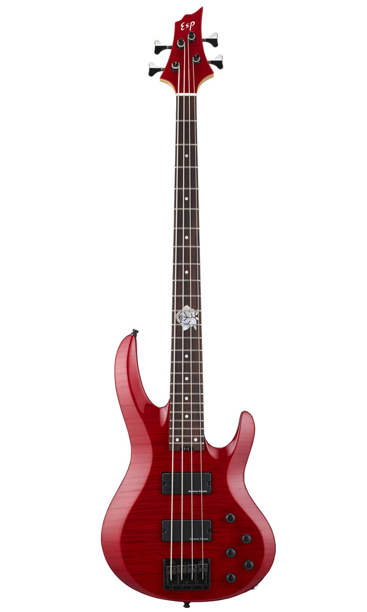 楽天市場】ESP×バンドリ！ガールズバンドパーティ！ Collaboration