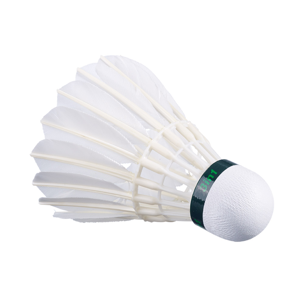 楽天市場】【全品10％OFFクーポン】『即日出荷』バボラ Babolat