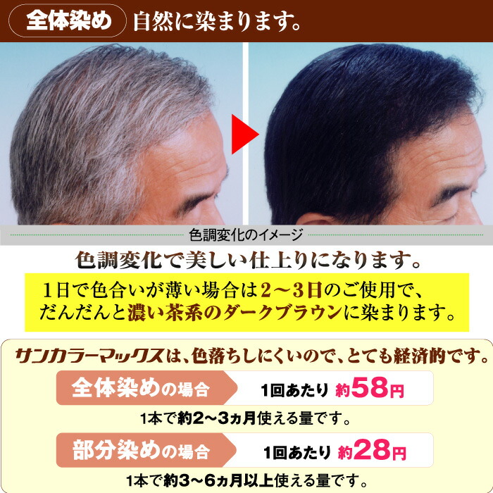 Kenko サンカラーマックス 白髪染め レギュラーサイズ 3箱まとめ売り