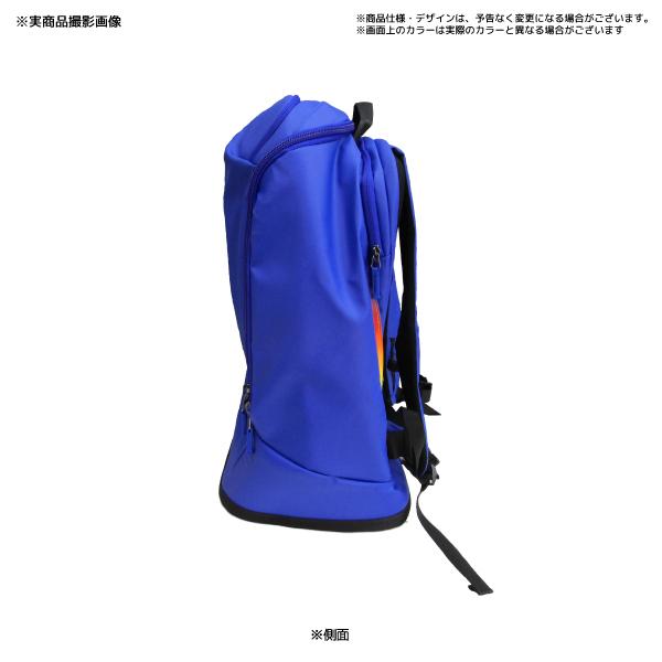 楽天市場】2025-26/SALOMON（サロモン）GO TO SNOW 50L