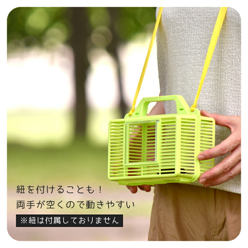 楽天市場】【虫かご】 虫 虫とり 虫取り 虫捕り 昆虫 昆虫採集 自由