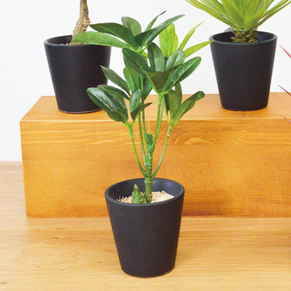 楽天市場】フェイクグリーン ブラックポットTS 光触媒 （ 人工観葉植物