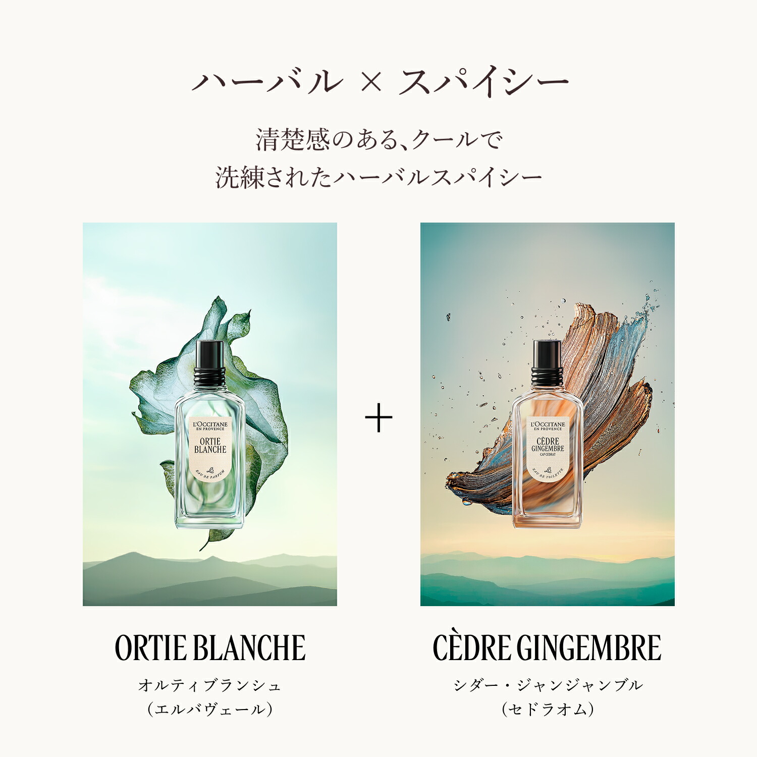楽天市場】【公式】ロクシタン L'OCCITANE オルティブランシュ[エルバ