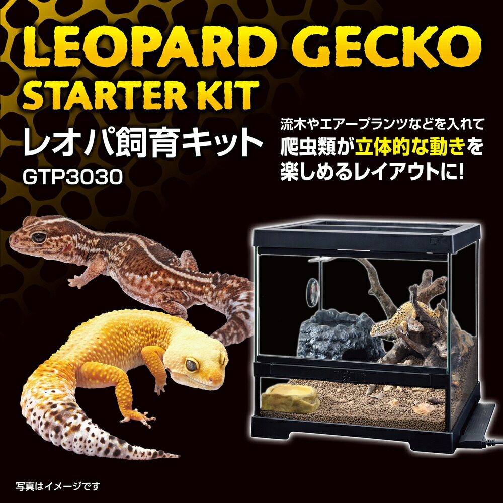 楽天市場】○【エキゾテラ】レオパ飼育キット GTP3030 EXOTERRA