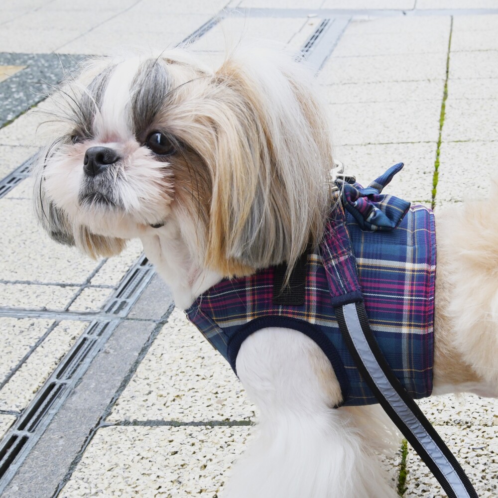 楽天市場】【Gemelli ジェメリ】クラシカルチェックハーネス 【XXS XS