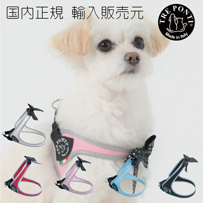 楽天市場】【TRE PONTI トレポンティ】フィッビア ポルカドットボウ【3