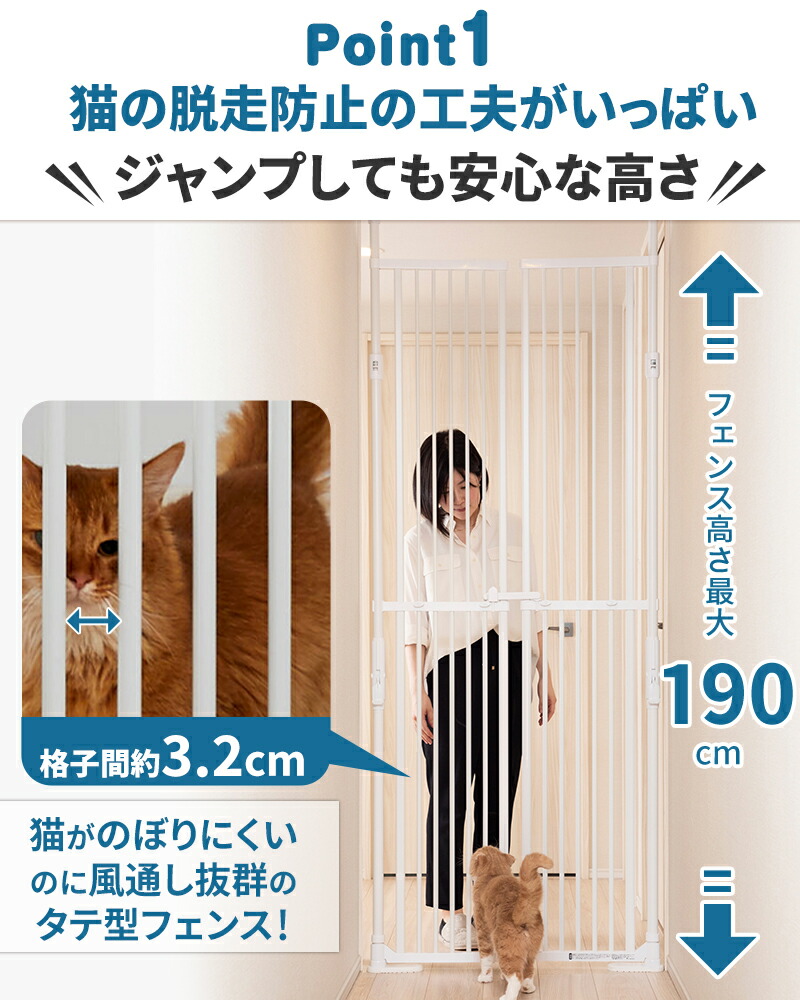 楽天市場】【2000円OFF+P5倍・スーパーセール限定】のぼれんニャン