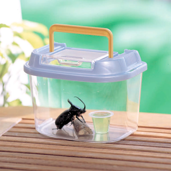 楽天市場】虫かご 昆虫ケース 飼育ケース 飼育ランド 昆虫ケージ 観察