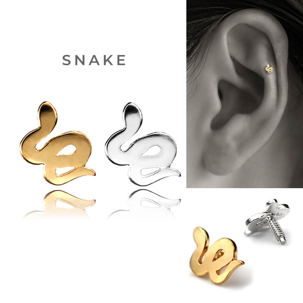 楽天市場】K10 ピッグ スカル スネーク ボディピアス │ 16G/14G