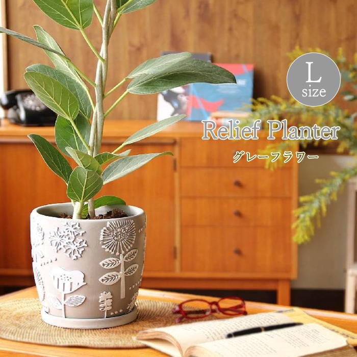 楽天市場】SPICE（植木鉢・プランター｜ガーデニング・農業）：花