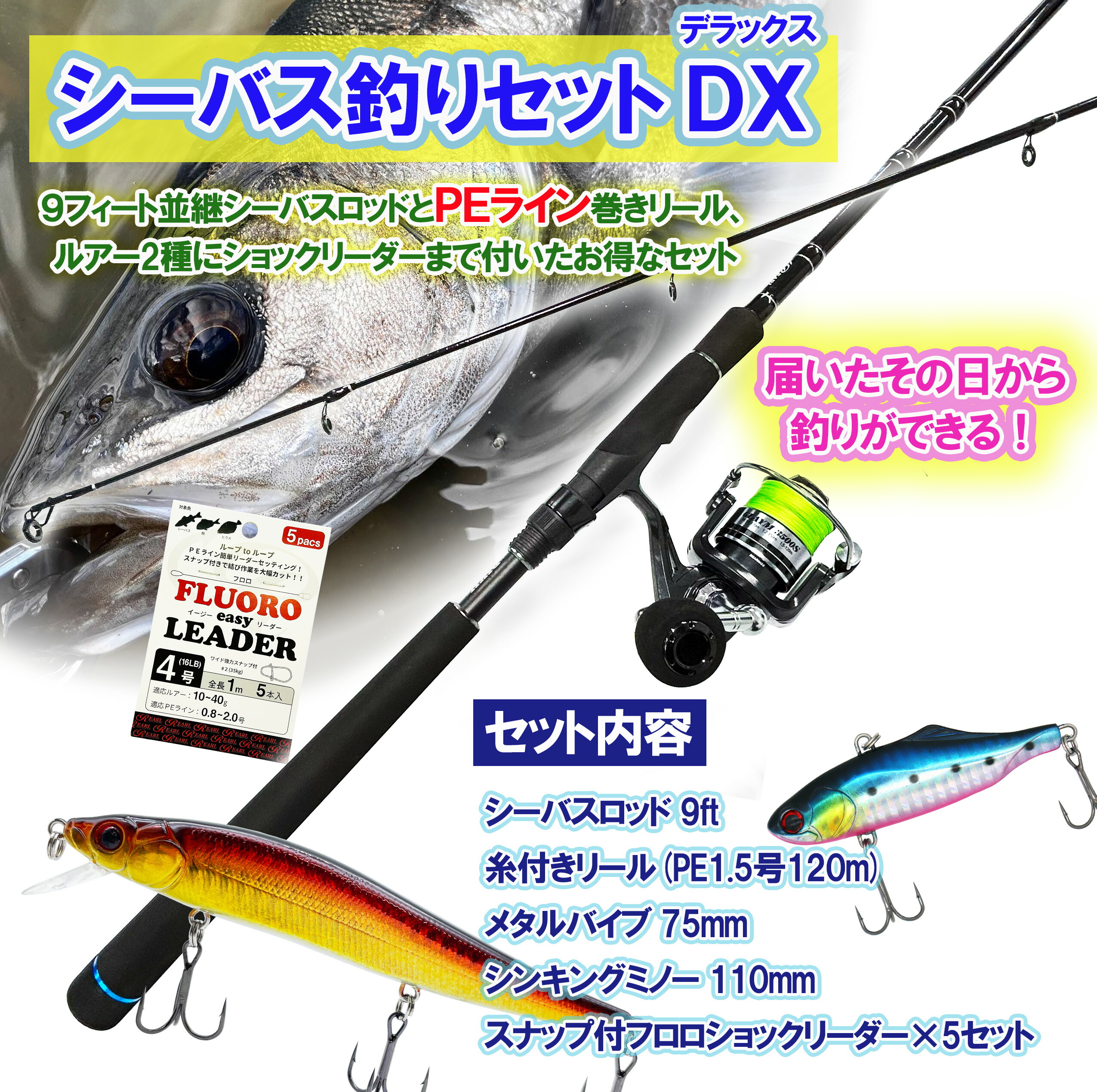 楽天市場】ルナヒサノ シーバス釣りセットDX 9フィート 並継 PE付 竿