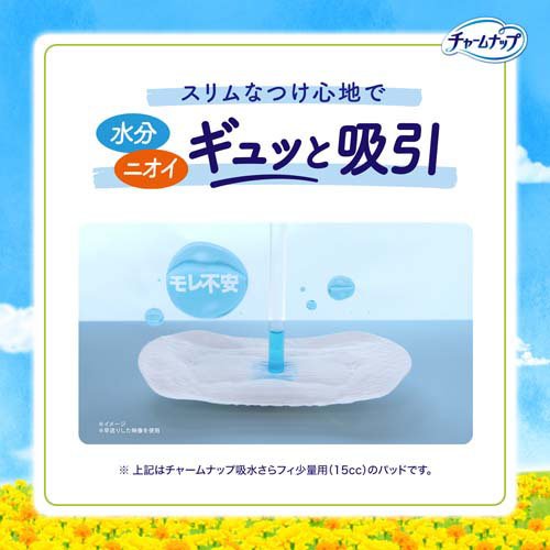 楽天24エクスプレス｜チャームナップ 吸水さらフィ 安心の少量用 羽