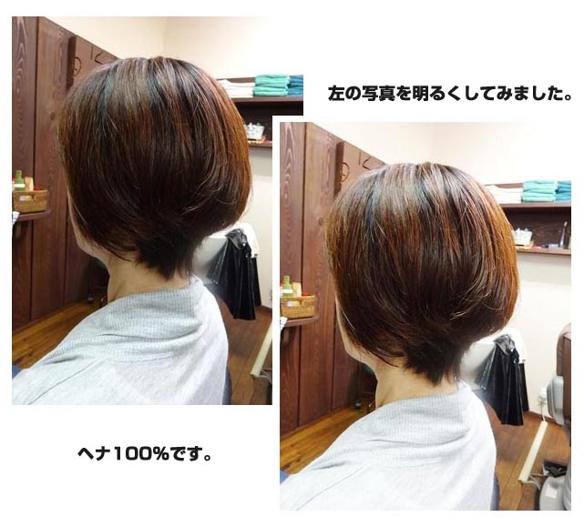 楽天市場】ヘナ 白髪染め ナチュラルヘナ 天然成分 (100g×10個) 天然