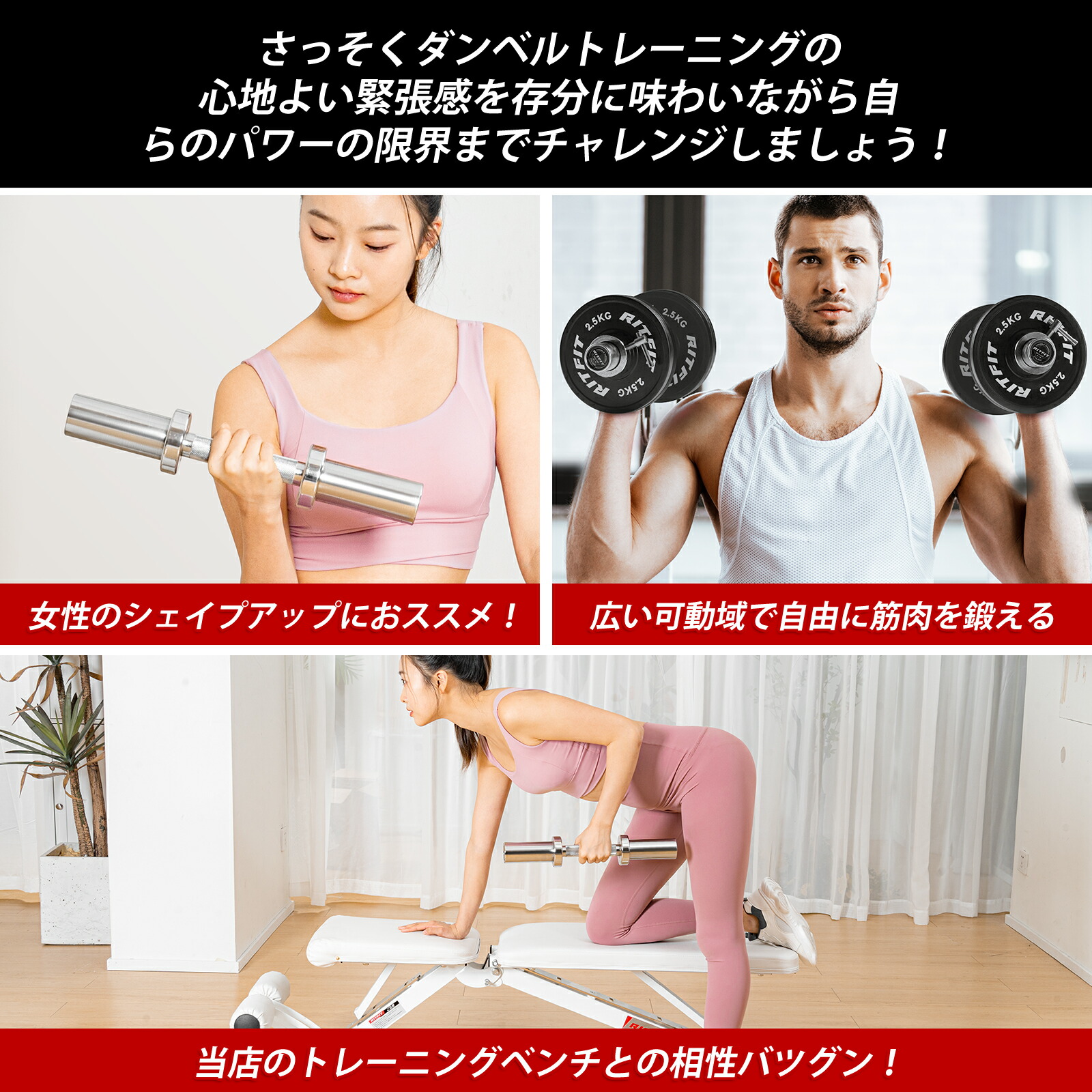 楽天市場】RITFIT オリンピック仕様ダンベルシャフト カラー付 41cm