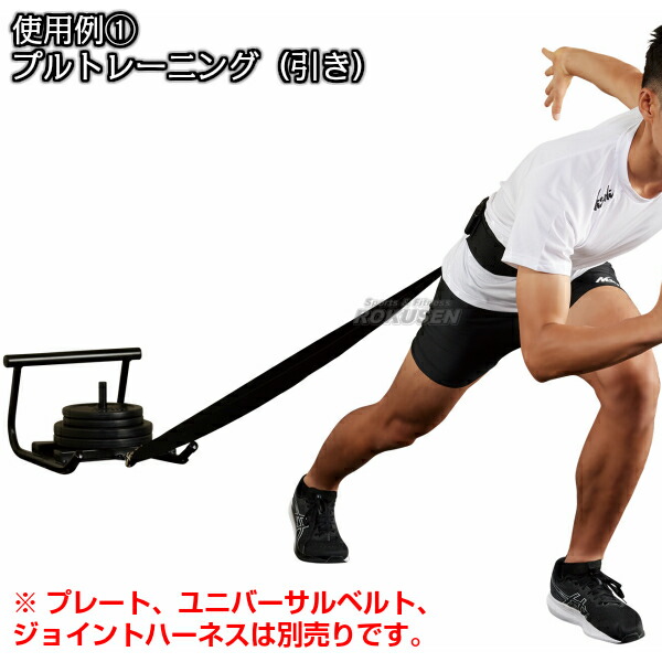 楽天市場】【NISHI ニシ・スポーツ】パワースレッドIV 3833A798 陸上