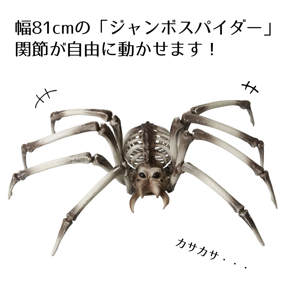 楽天市場】【5%OFFクーポン有り！3月6日限り】ジャイアントボーン