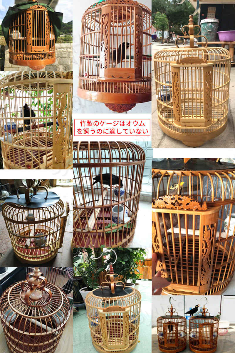 楽天市場】お買い物マラソン【P5倍】中国の無形文化遺産 ツグミ鳥かご