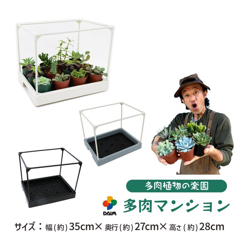 楽天市場】【エントリーでP5倍】【クーポンで最大3,000円OFF