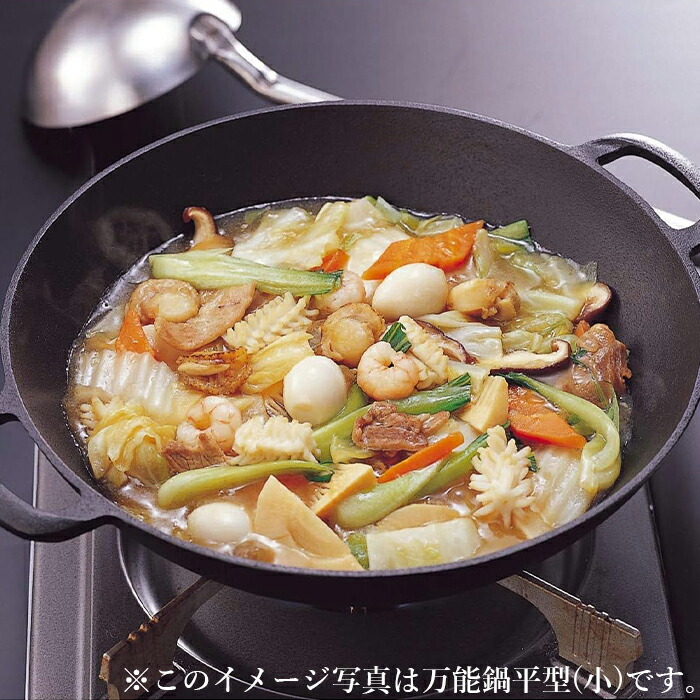 楽天市場】【在庫処分セール】南部鉄器 万能鍋 平型 (大) 岩鋳 内径