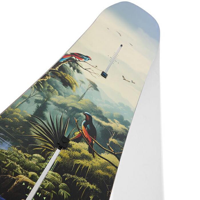 楽天市場】ボード購入特典付☆即納☆店頭受取OK☆[日本正規品] 25-26