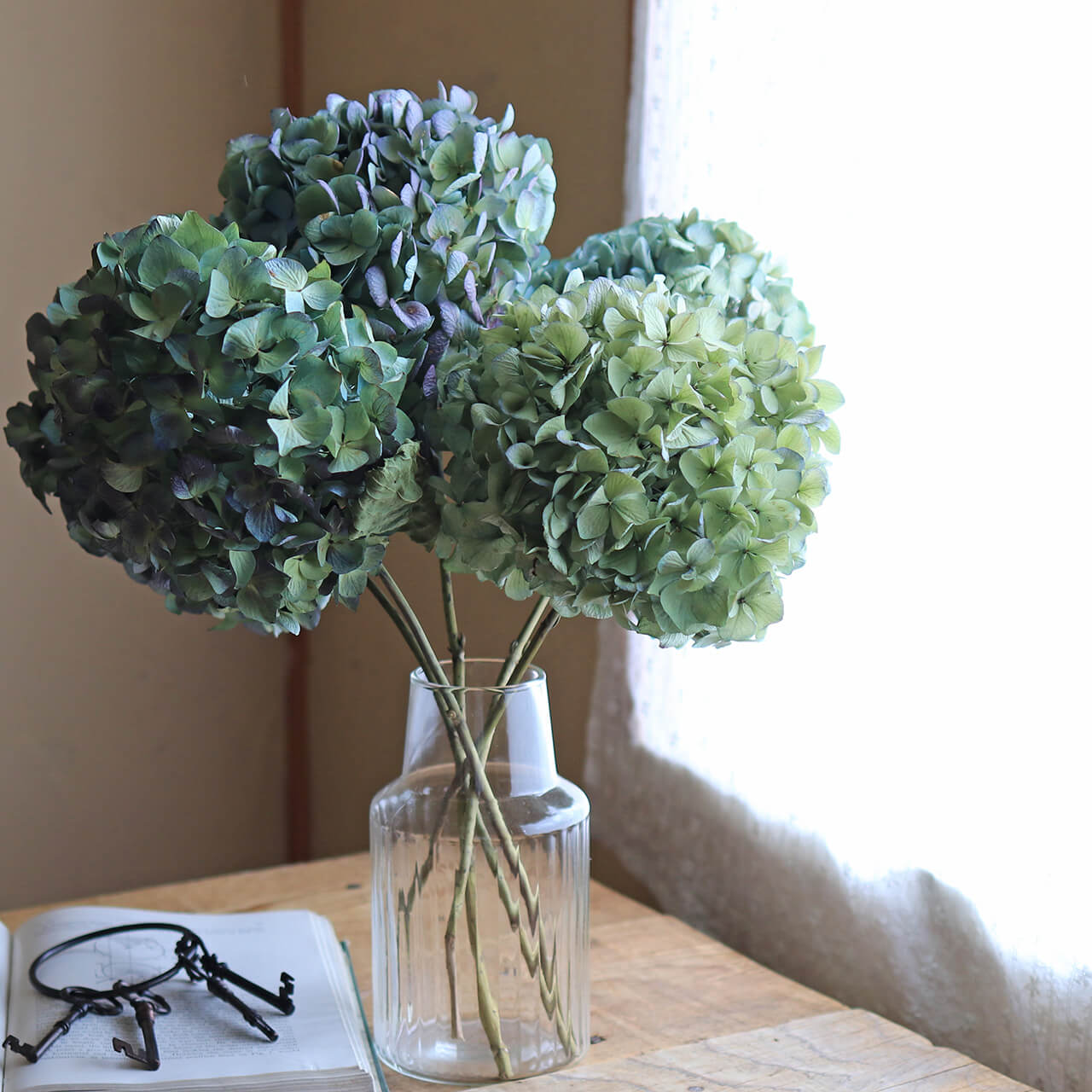 楽天市場】あじさい枝付き ブルー・グリーン系 ドライフラワー 【 L