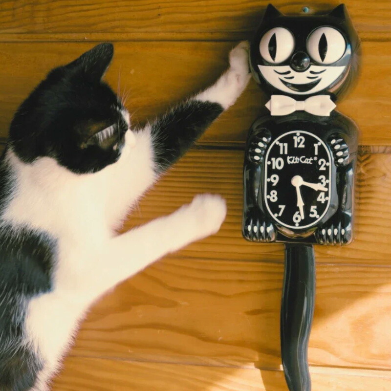 楽天市場】正規品 1000円OFFクーポン☆キットキャットクロック MOMA