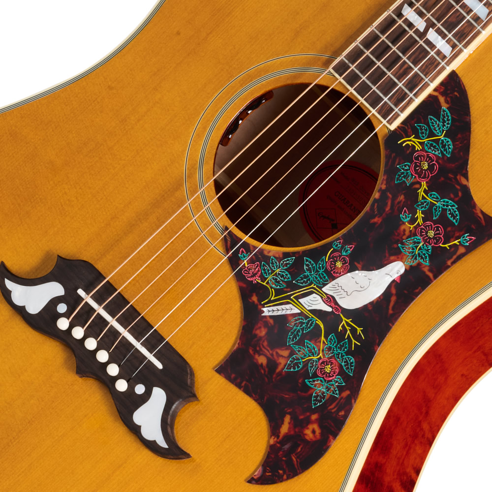 楽天市場】Epiphone Inspired by Gibson Custom 1963 Dove Reissue
