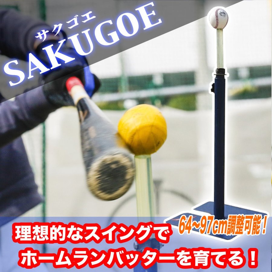 sakugoe-put-ver5_2.jpg