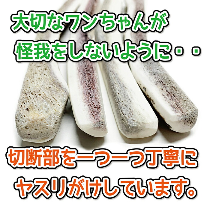 楽天市場】【中型犬用 蝦夷鹿の角】犬のおもちゃ『鹿角さん』 髄出し