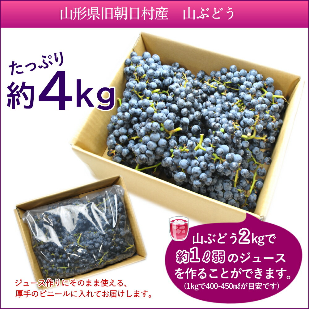 楽天市場】山ぶどう ぶどう 4kg 葡萄 ブドウ 黒葡萄 やまぶどう