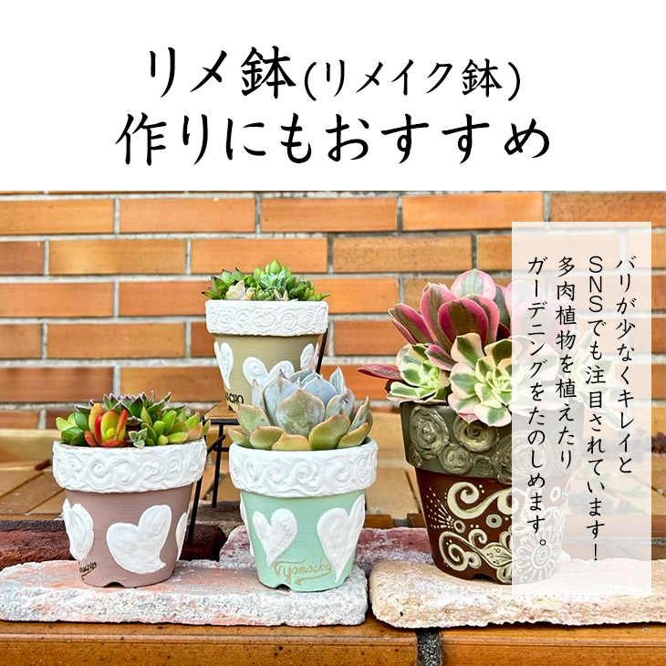 楽天市場】2号素焼き鉢【1ケース 250個入り】 素焼き鉢 2号 植木鉢 鉢