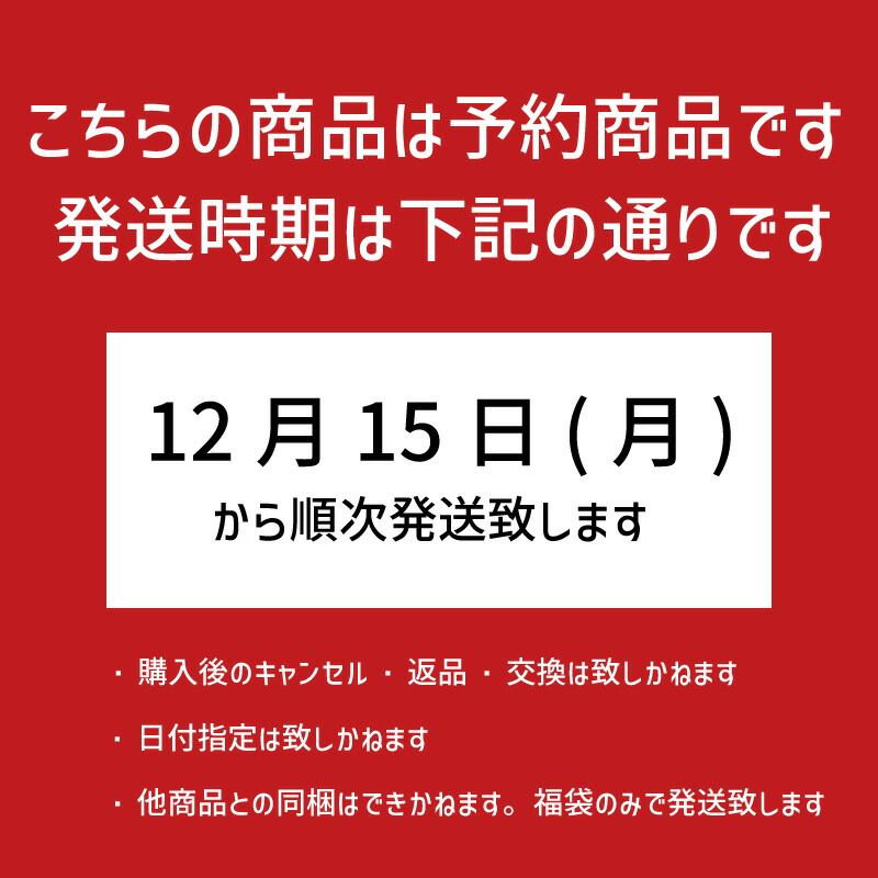 楽天市場】【スワロフスキー グロスパック付き】 たっぷりアクセサリー
