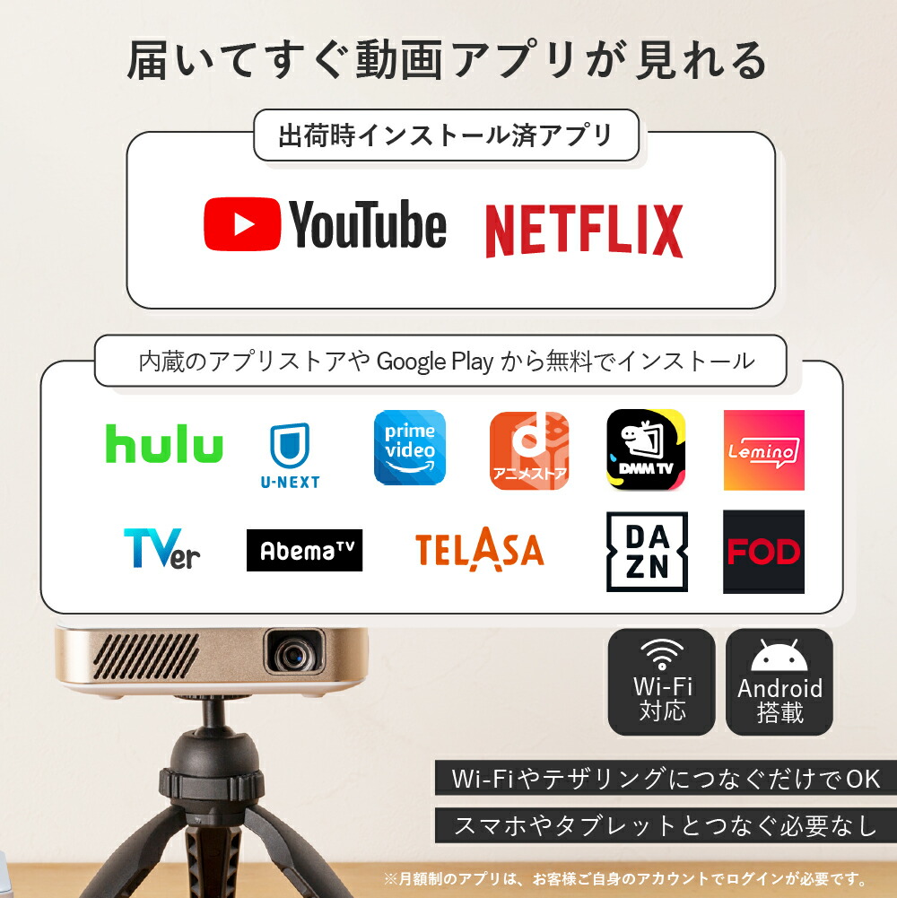 楽天市場】【SALE限定6倍+10000円OFF】 カベーニPRO2 2026モデル フル