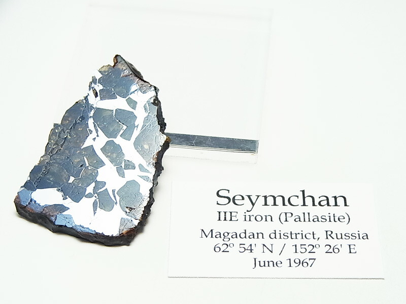 楽天市場】セイムチャン隕石 (SEYMCHAN) パラサイト 隕石【ロシア産