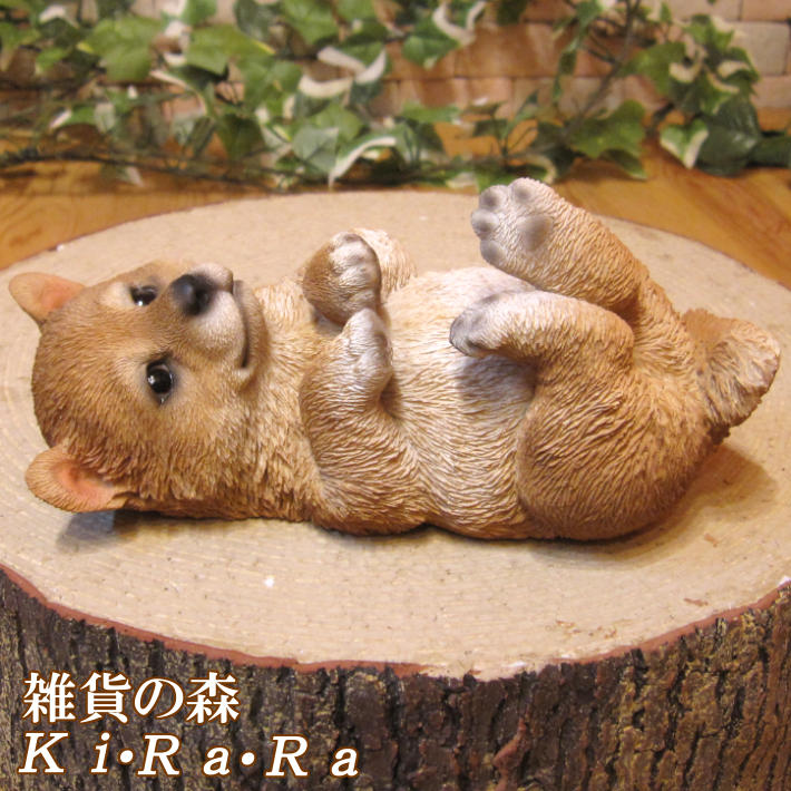 楽天市場】犬の置物 柴犬 ゴロりん シバイヌ 日本犬 しばけん ワン