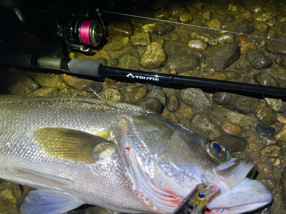 富山県 河川シーバス (Permission 97SMH) | TRUTH JAPAN